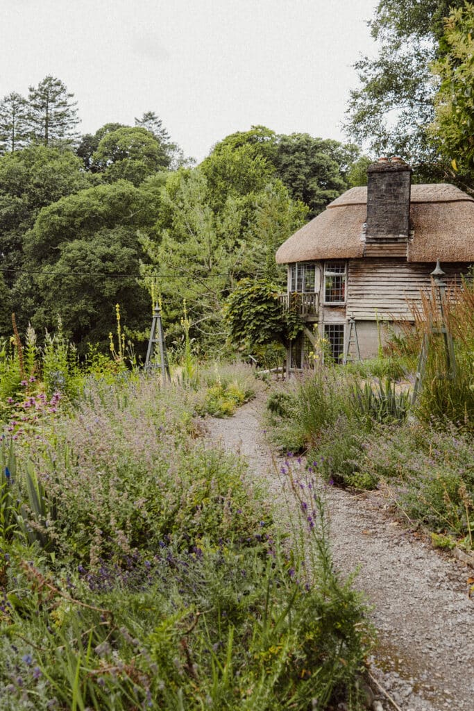 Sibley Grove Dartington Hall Trust South Devon