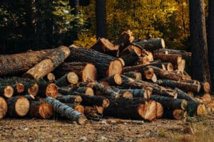 pile of timber