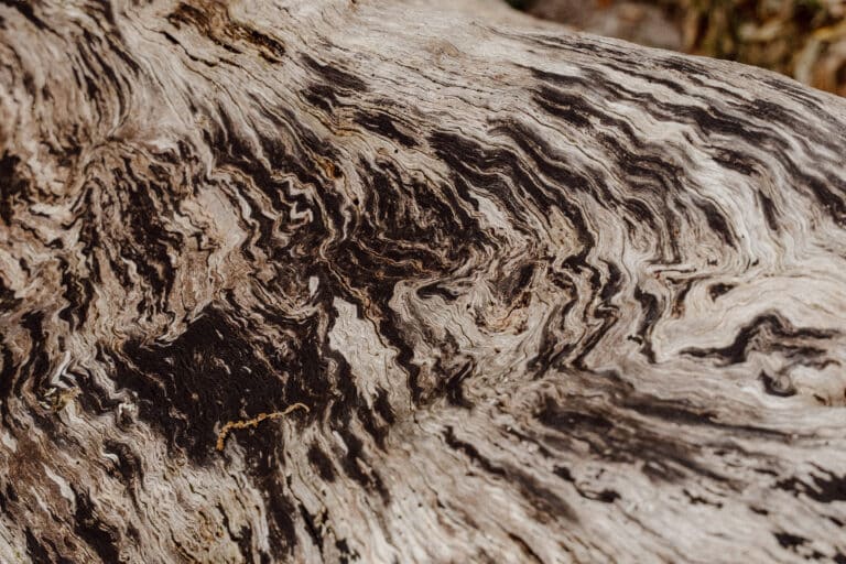wood texture